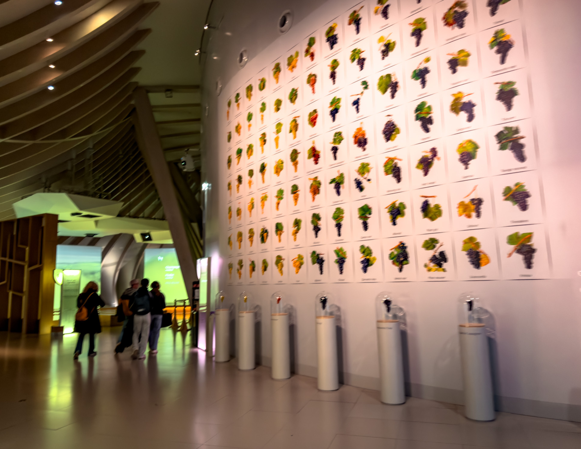 Best Things to Do in Bordeaux France (5).png